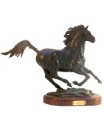 Spirit - $1,200 or best offer.