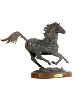 Spirit - $1,200 or best offer.